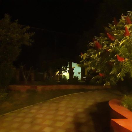 Village House Moo Moo Vranje Exterior photo